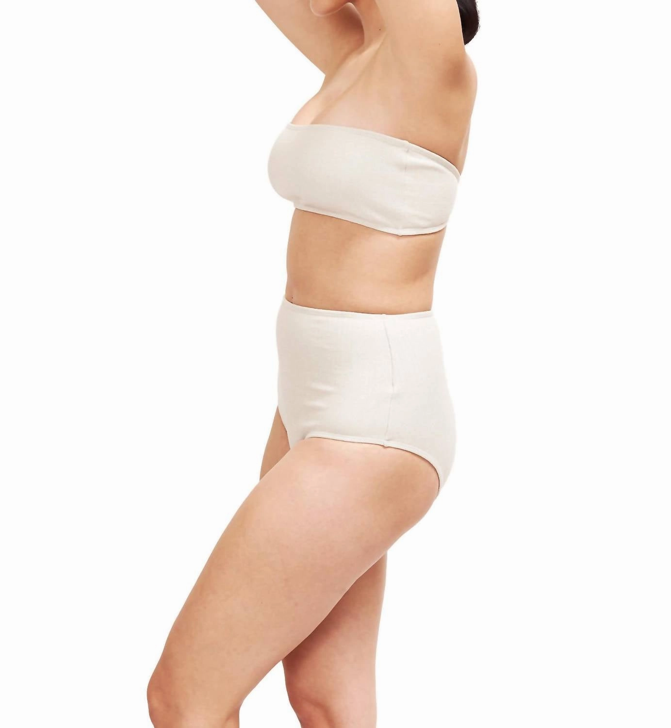 Bella High Waisted Bikini Bottom In Platinum