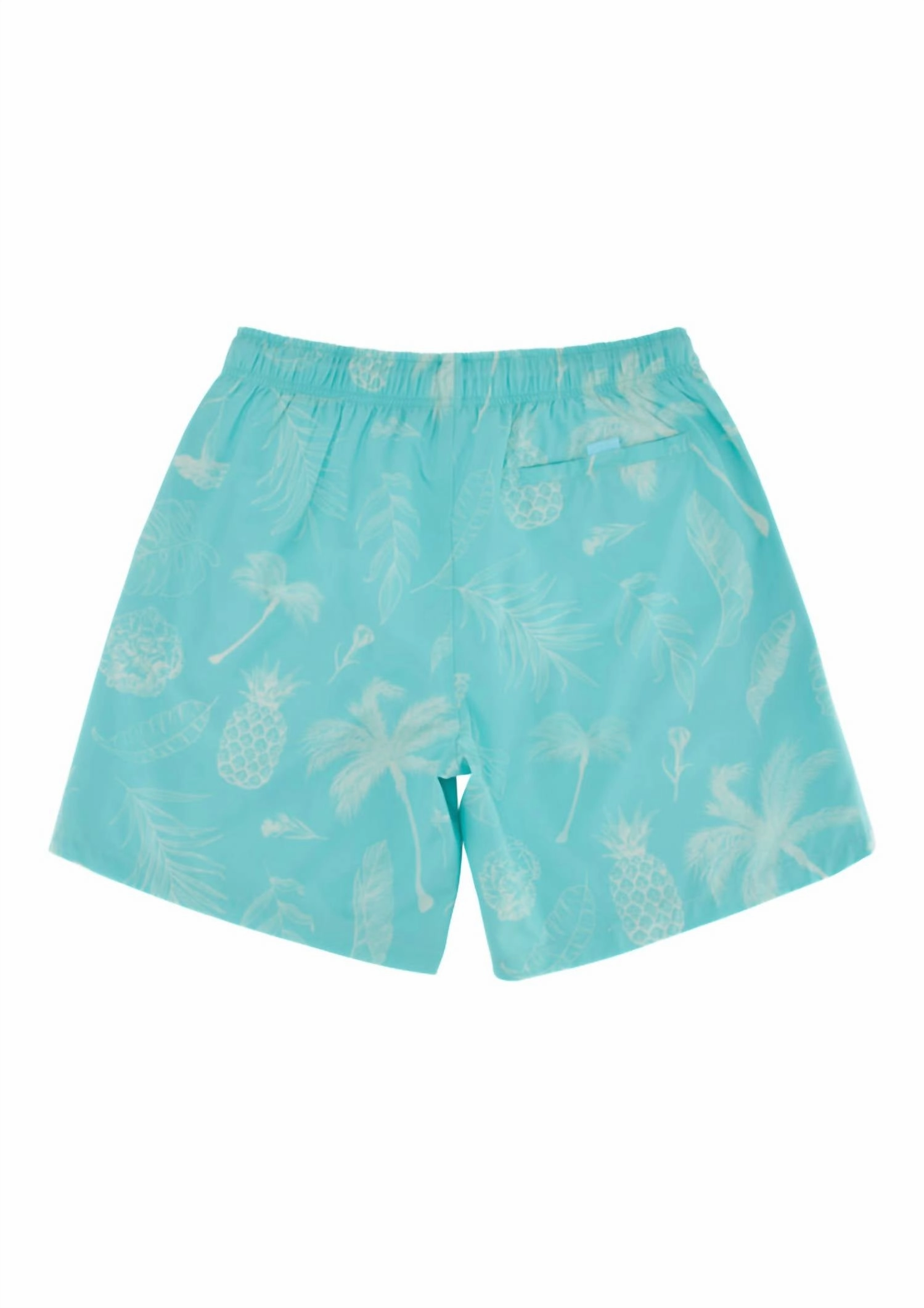 Classic Ropes Trunks In Aqua Tropics