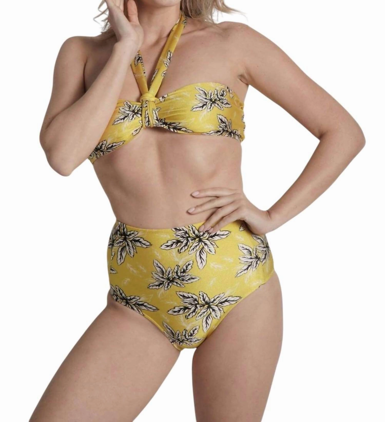 High Waisted Bikini Bottom In Bianca