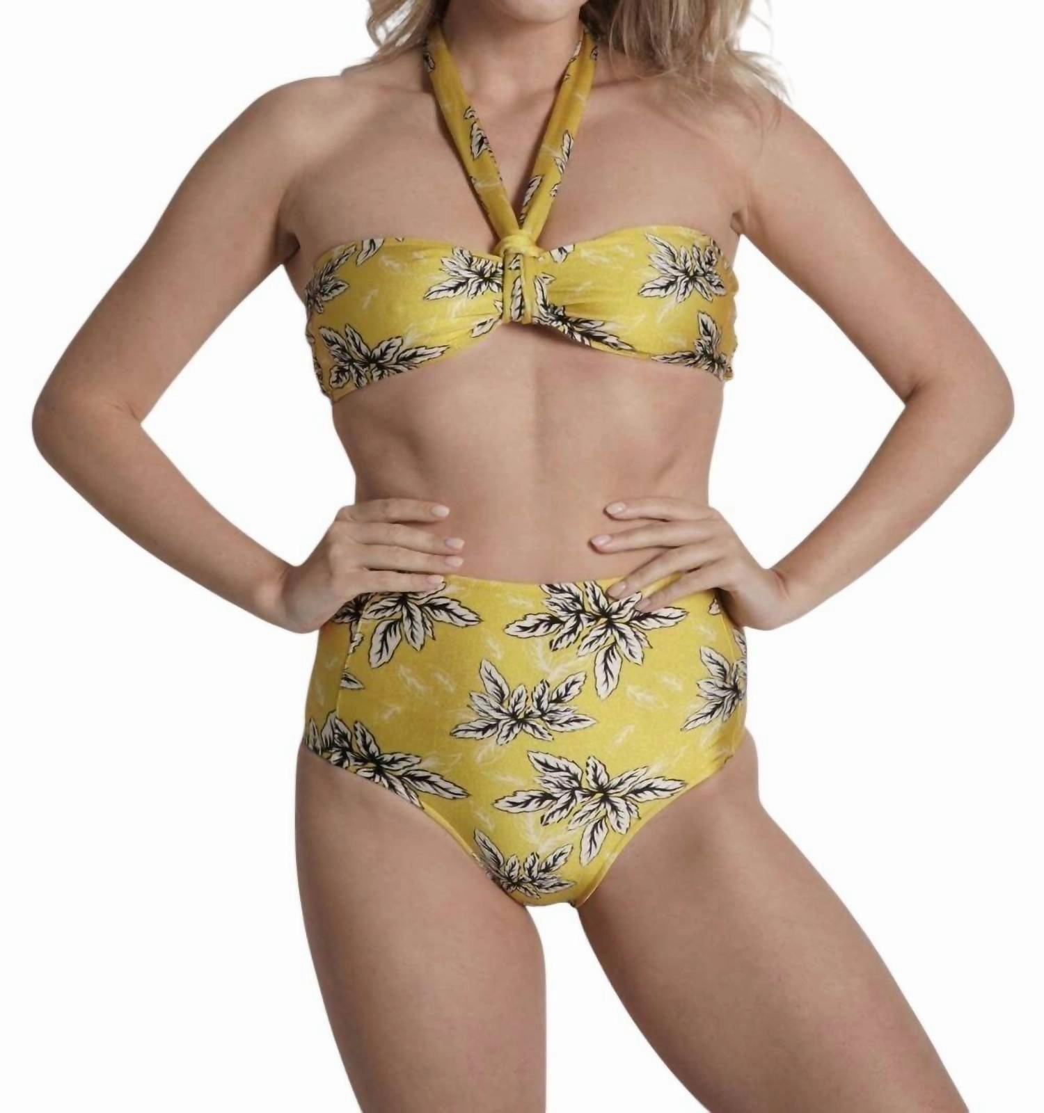 High Waisted Bikini Bottom In Bianca