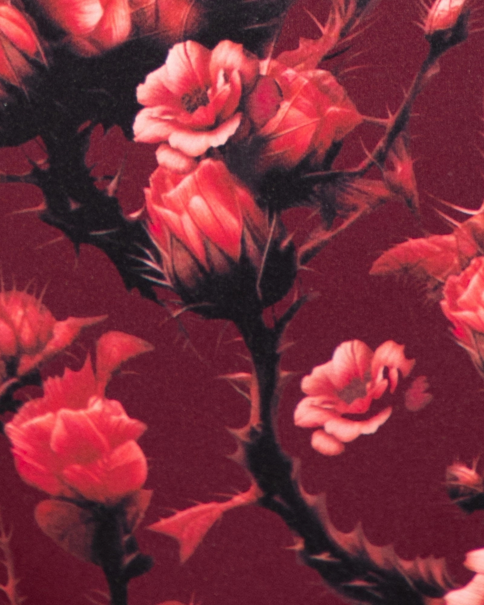 Lushy - Cranberry Floral