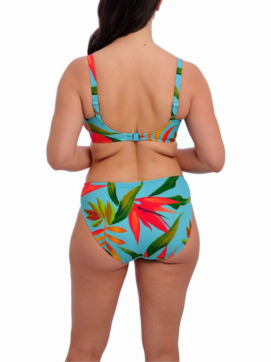 Pichola Bikini Brief