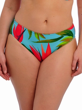 Pichola Bikini Brief